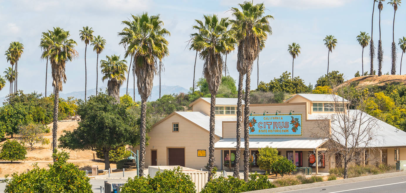 California Citrus Banner